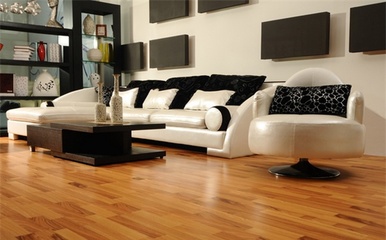 萊茵陽光地板加盟 裝修行業(yè)的優(yōu)質投資選擇